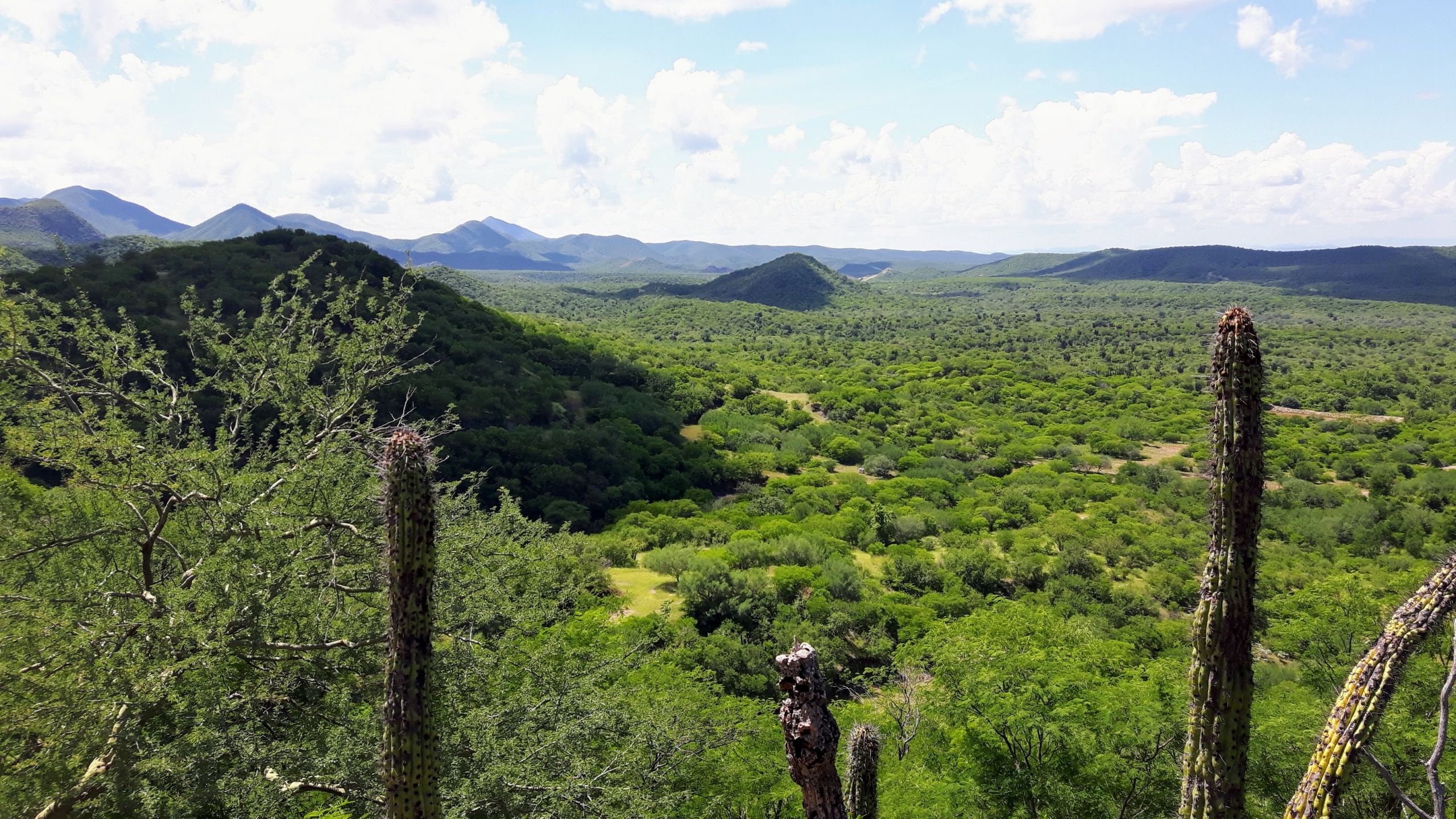 View southwest from Pilar Project