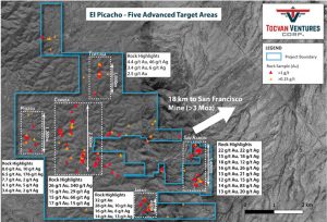 Figure 2. Planview Map of Target Areas at El Picacho