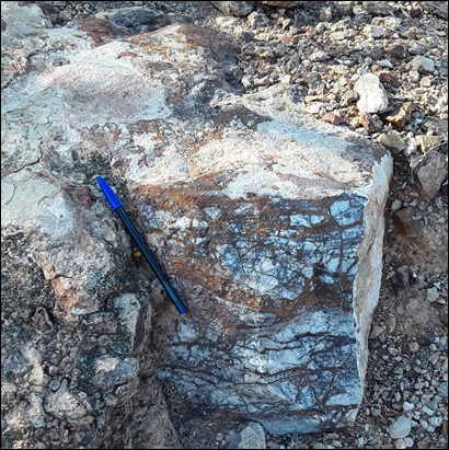 Photo 3- Mineralized Quartz Carbonate Vein – Jabali Target